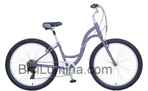 Schwinn Brookline ficha técnica y opiniones